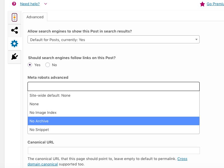 meta robots seo