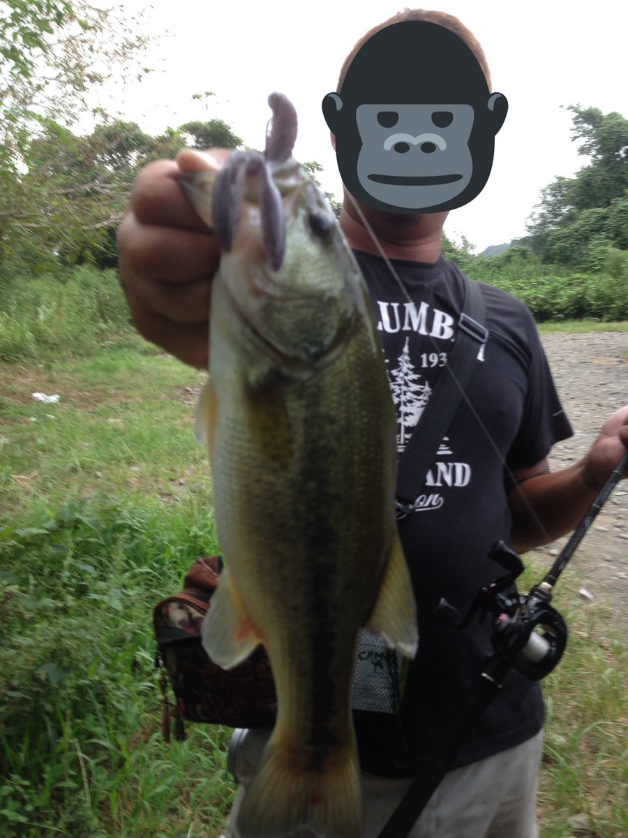 テキサスマスター Bass Texasstyle Twitter