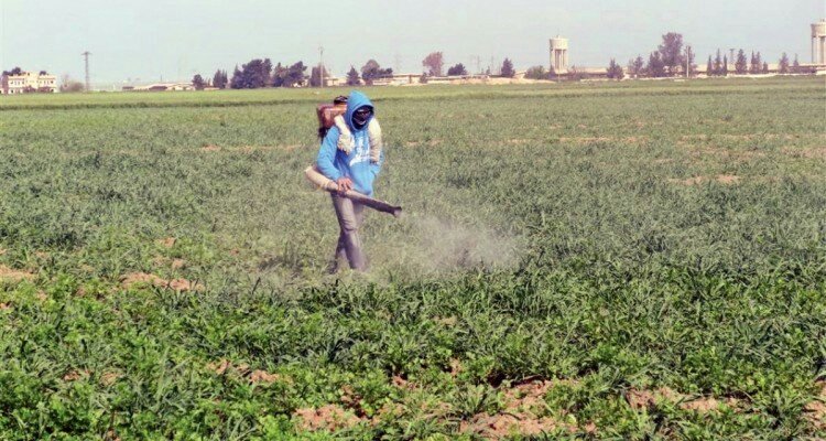 الزراعة تضبط مبيدات مخالفة
"تأتي هذه الحملة ضمن سلسلة من الحملات التي تقوم بها وزارة الزراعة والثروة السمكية بالتعاون مع الجهات المختصة لضبط المبيدات المحظورة" التفاصيل..
tamol.om/83461
#التأمل