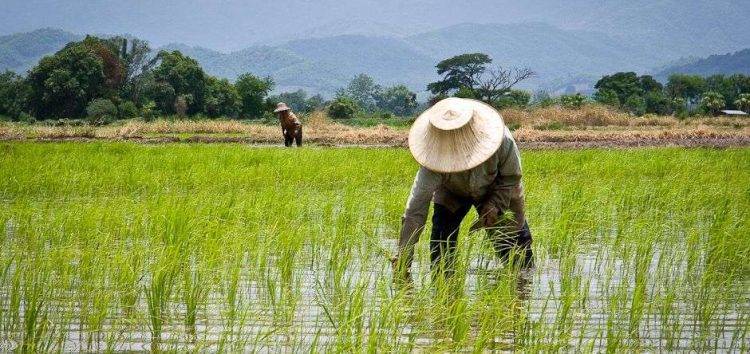 Nigerian startup, Alosfarm, has begun beta-testing a new big data platform solution for small farm holders. Pegged as #Datafarm. <a href="/CGIAR_Data/">CGIAR Digital Transformation</a>#wennovationfcmbdemoday2018 #Agritech2018 #DemoDay
ow.ly/hF0v30lBiof