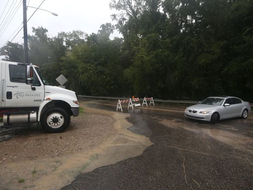 CityofTLH's tweet photo. Each year, rainfall in Tallahassee tops 59 inches. All of that water has to go somewhere. Learn more about the City's network of storm drains, ditches, pipes, holding ponds, lakes, and basins in this piece by @KarlEtters for @TDOnline https://t.co/M69B8NpflD https://t.co/uWyhnijrbq