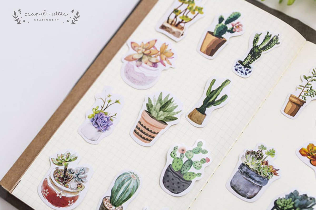 NEW Succulent cactus stickers now in our #etsy shop 🌵💕 etsy.com/uk/listing/637… #craftbuzz #stickers #planner #etsyfinds
