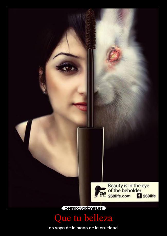 Manuela19982602's tweet photo. Esto es lo que compras cuando usas cosméticos que usan animales.
#nomaspruebas https://t.co/lxS066YeWp