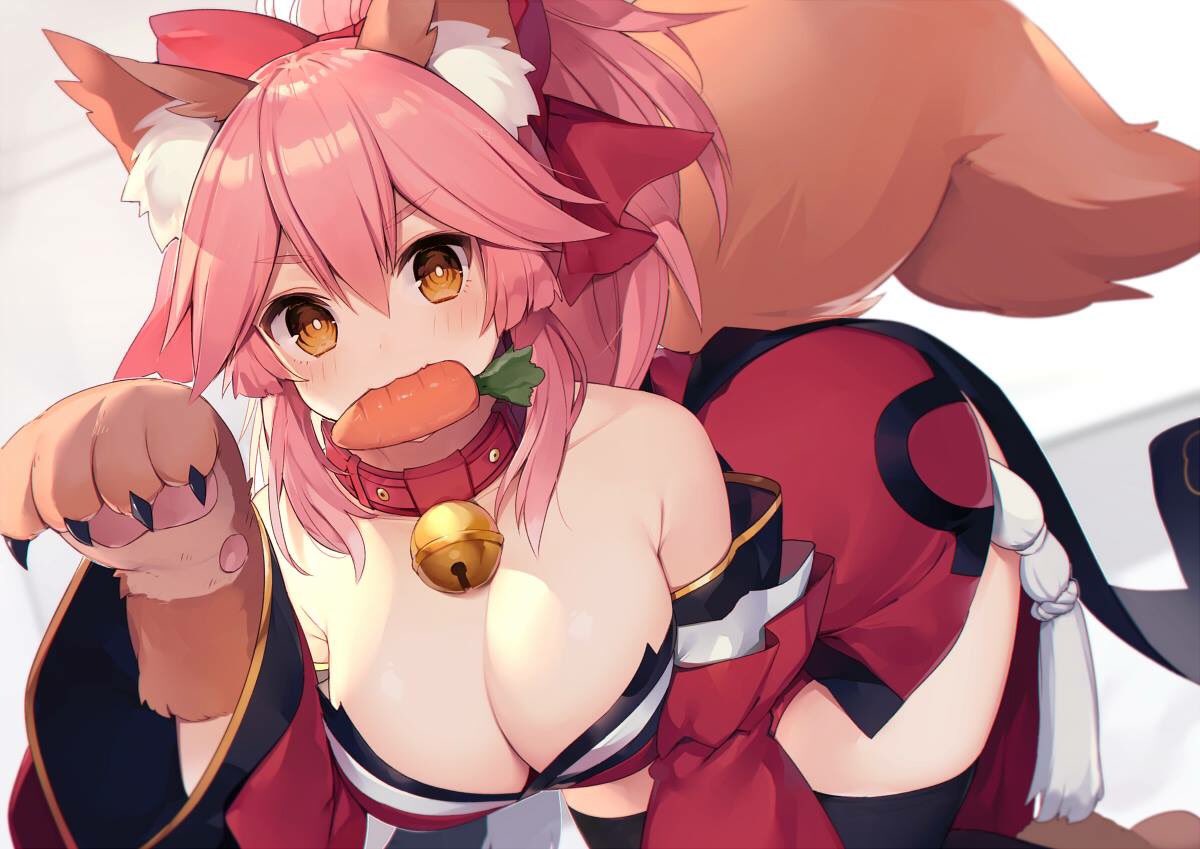 LewdLand's tweet photo. Tamamo Cat is underrated https://t.co/kJvnuloyoq