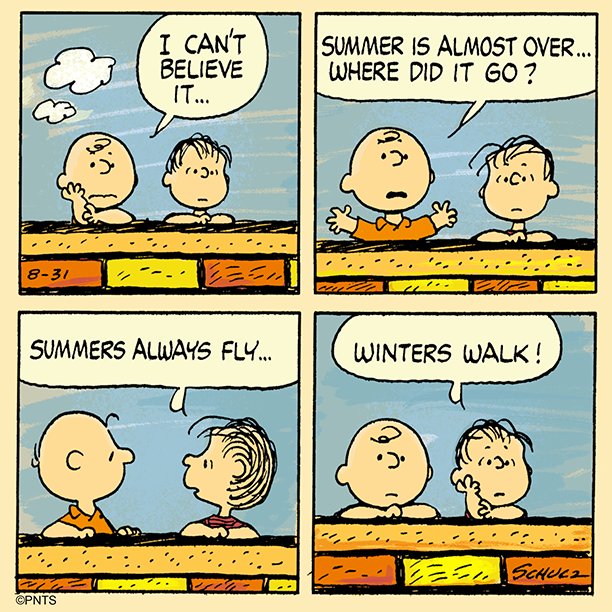 Where did the Summer go?!