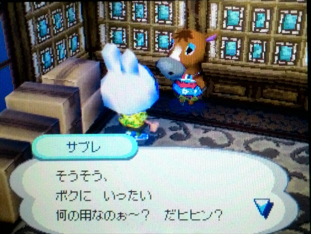 Twitter 上的 Nob おい森 サブレさんが引っ越してきました ぜったいやで どうぶつの森 Animalcrossing T Co Okeipblyvb Twitter
