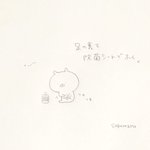 ただで役立つ豆知識!蚊に刺されたときの対処法が効果的!