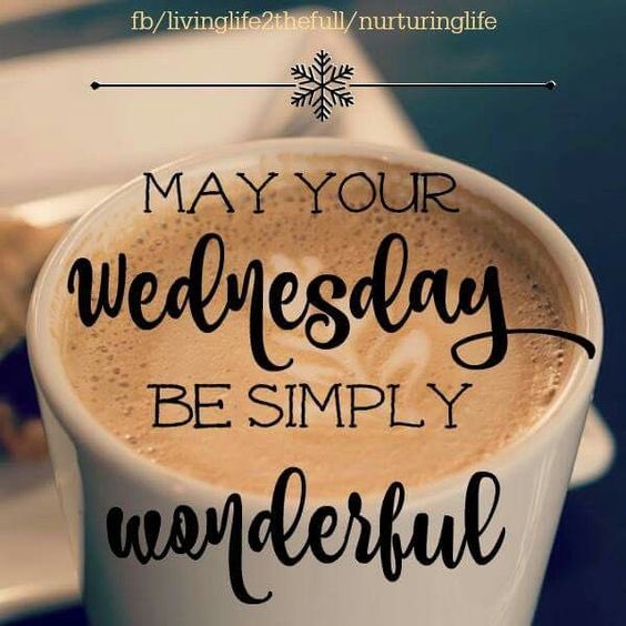 audilvrs7's tweet image. I hope everyone has a beautiful day! #happywednesday #havefuntoday #happy #thankful #ilovecoffee 🧡☕️😊