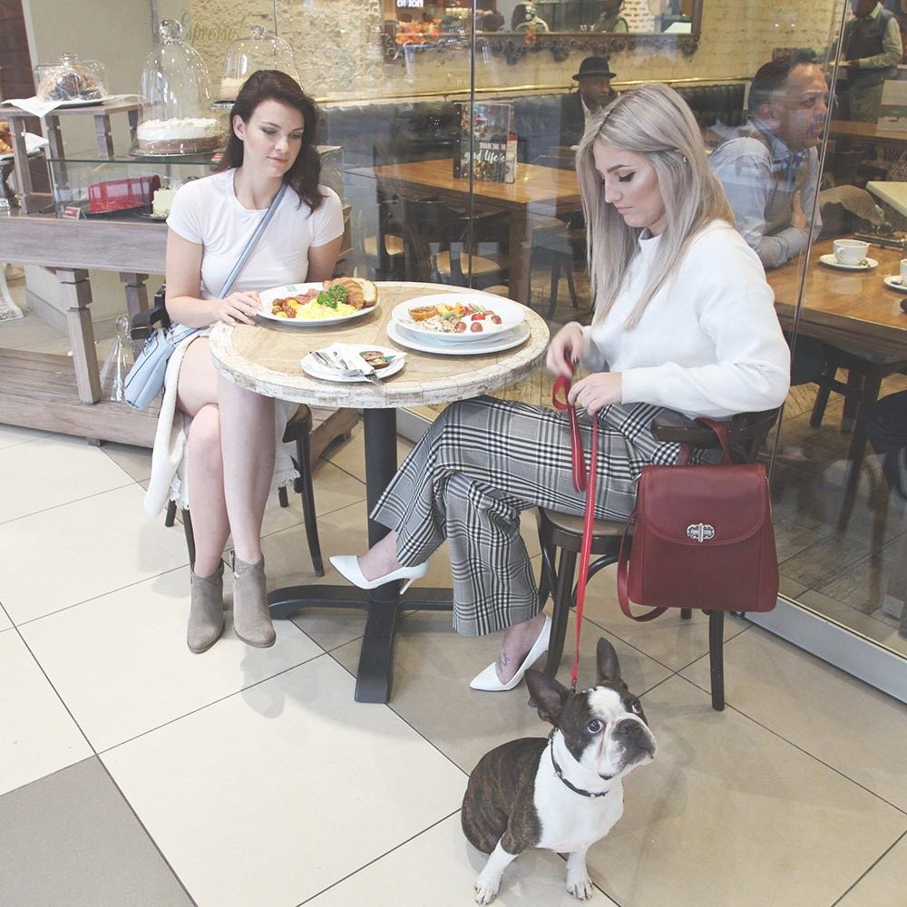 HelloMagSA's tweet image. HJ, did you know that Bryanston Shopping Centre is one of the first shopping centres in SA to welcome you and your fur-babies into its beautiful establishment? Shoppers can now bring their pets along while indulging in their daily shopping!