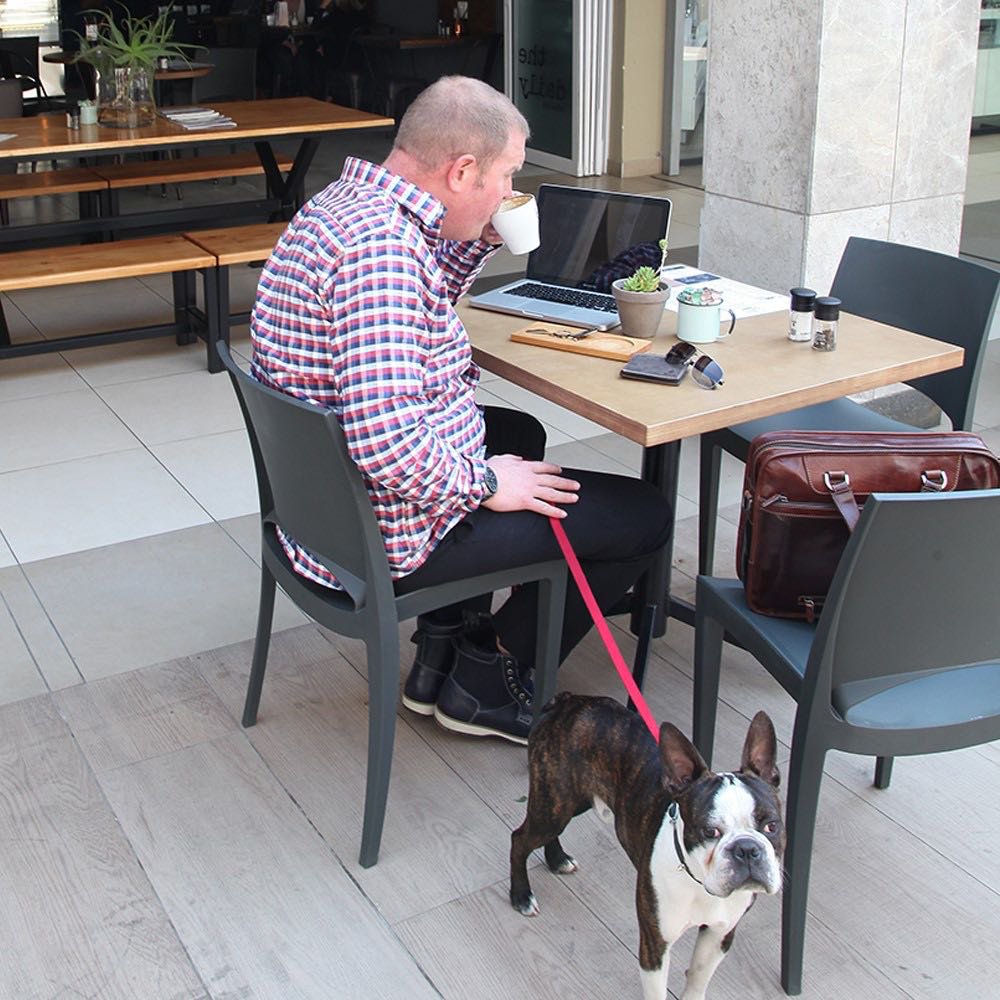 HelloMagSA's tweet image. HJ, did you know that Bryanston Shopping Centre is one of the first shopping centres in SA to welcome you and your fur-babies into its beautiful establishment? Shoppers can now bring their pets along while indulging in their daily shopping!