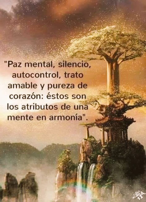ENLACECONDIOS's tweet photo. ENCUENTRA LA ESENCIA QUE PUEDE TRANSCENDER EN TU CAMINO Y DESCUBRIRÁS QUE EN EL CAMBIO ESTARÁ DIOS EN TU CORAZÓN !! https://t.co/5LjKnmjbKR
