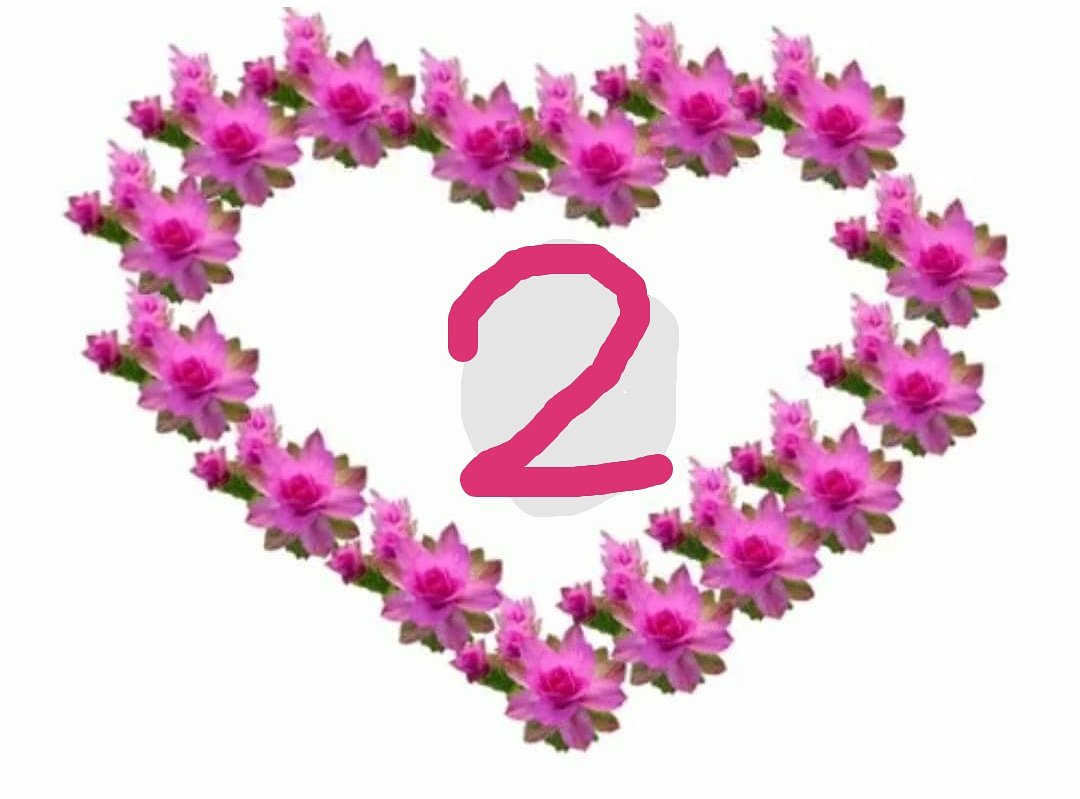 #Verlosung nur noch 2 #Tage. 
Du nimmst automatisch an der #Verlosung teil, wenn du als Kommentar schreibst, warum du das #Buch ,Das 1x1 für PerLe-Projekte im Kindergarten' gewinnen willst.

#Kinder
#Kindergartenleitetin
#Kindergartenteam
#Erzieherinmitherz
#Erzieherin
#Bildung