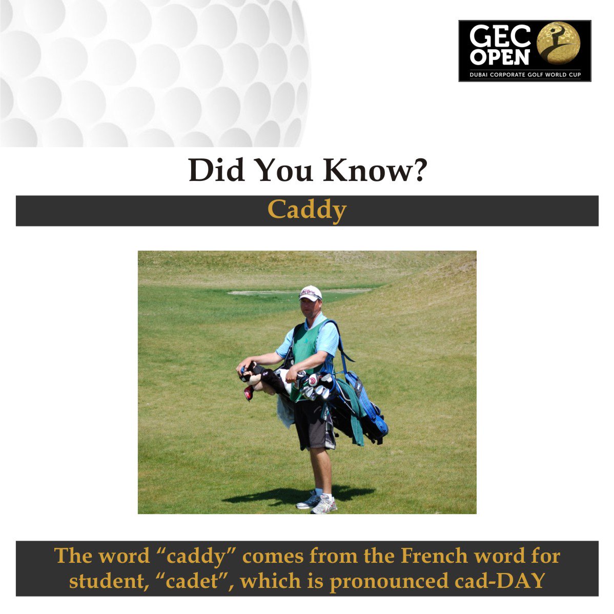 gecopenindia's tweet photo. Do You Know?.
.
.
.
.
#golfing #golfday #golfer #golfdigest #golflife #golfchannel #instagolf #golfislife #titleist #golfball #pgatour #golftournament #golfswing #golfswag #GECOPEN2018 #corporategolf #corporate #swingers #par #caddy https://t.co/AuO7chSC93