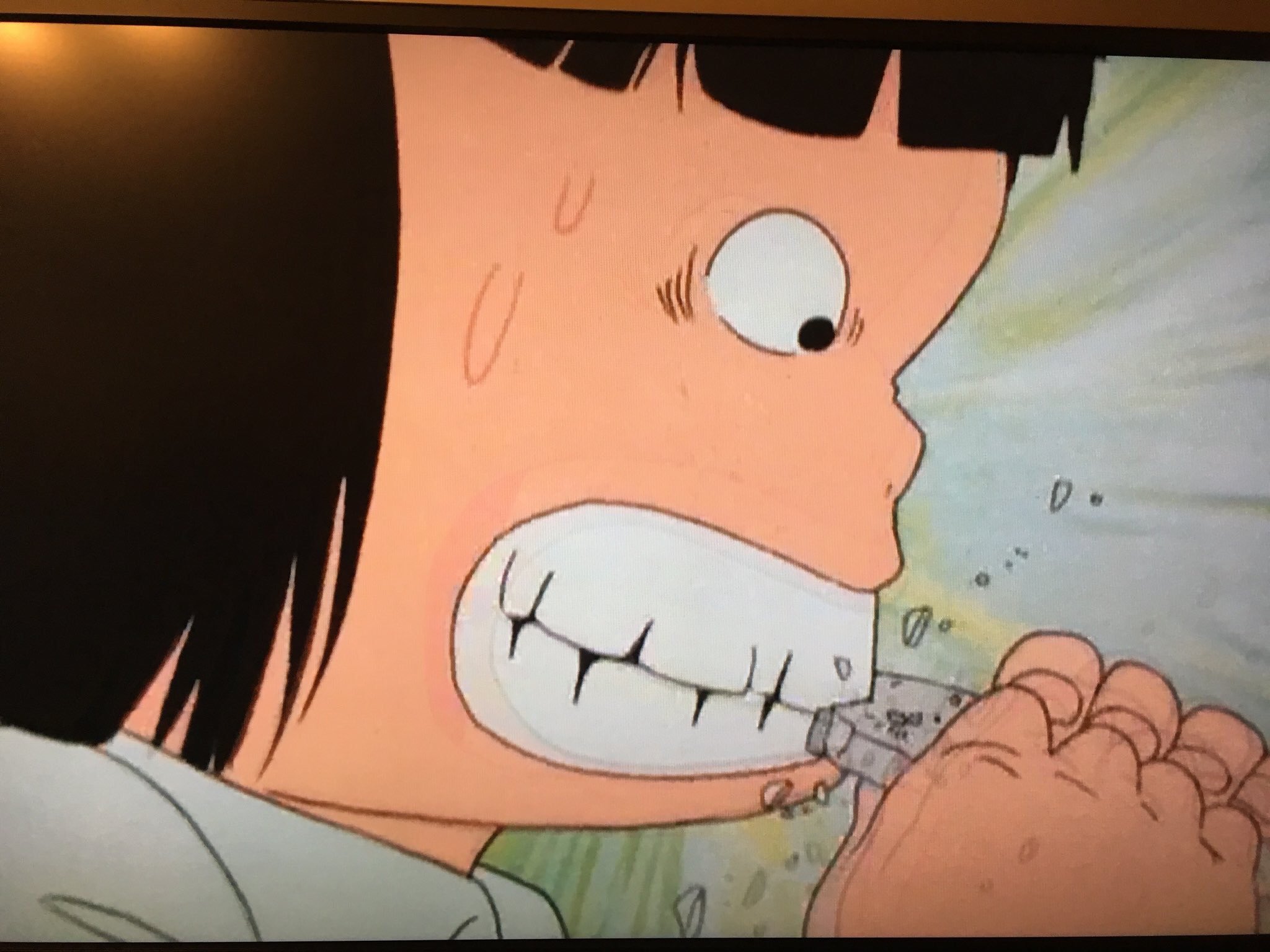 ぬかづけ ヒラメちゃんの大好物塩せんべいのモデルと噂されている南部せんべいを頂きました