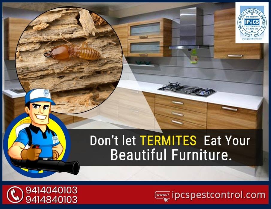 IPCSPest's tweet photo. Your furniture is your furniture, none of termite's furniture.
#ipcs_pest_control_service
#termite_control
#termite_controller_in_jaipur
#save_ Furniture https://t.co/YWzs2Erdzb