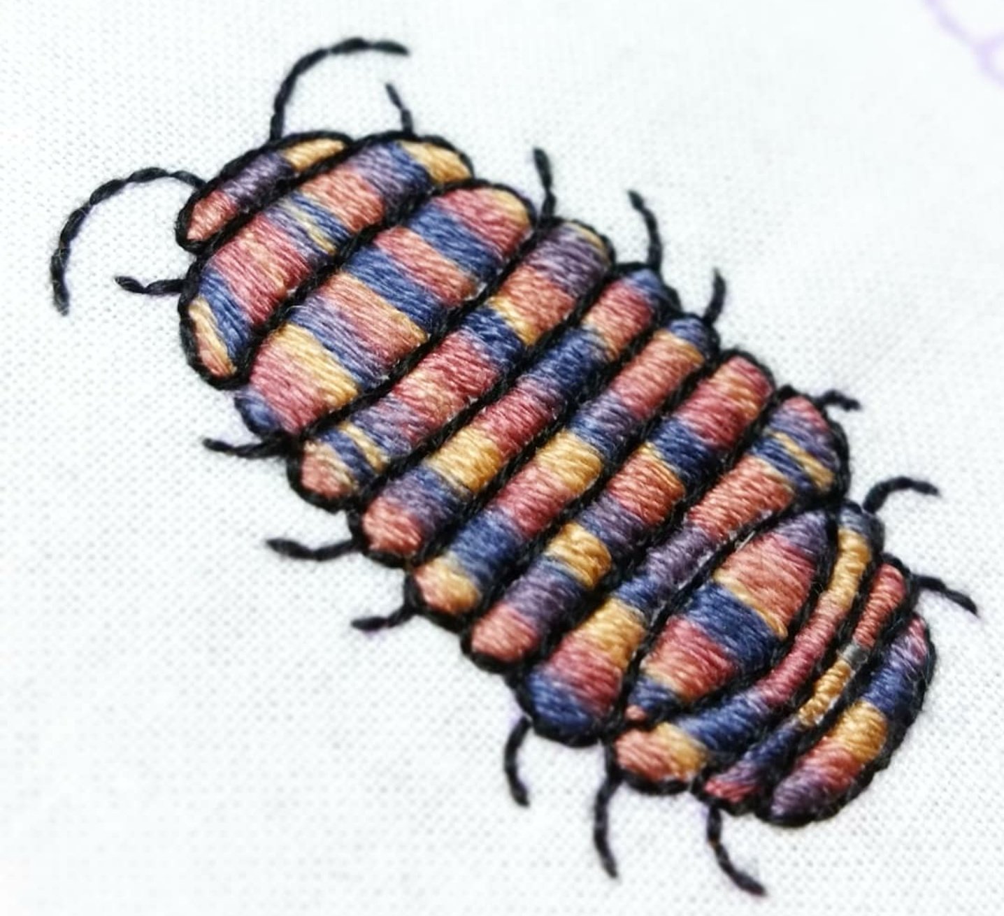 Okeiko 大量に並べたい 刺繍 手刺繍 だんごむし ダンゴムシ メガボール 節足動物 昆虫 T Co Ebfmgndncy Twitter