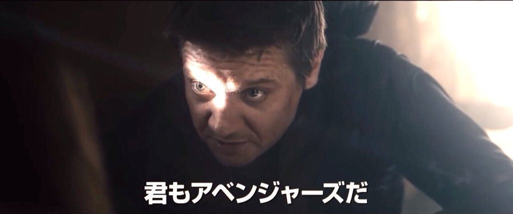 鳴かぬなら君ならどうするホトトギス Lang Ja Twitter Search