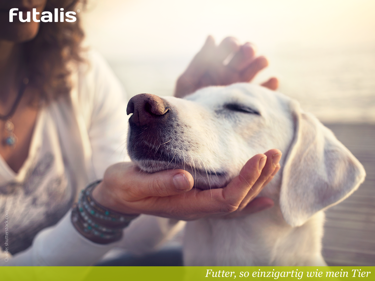 futalis's tweet photo. Kennst Du den Nährstoffbedarf Deines Hundes? ❤ → https://t.co/gYtgxG2zkZ https://t.co/SUdKDAMJGP