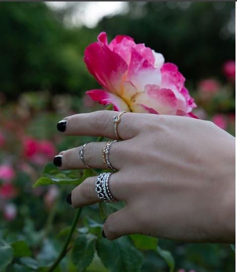 AccessoryDrawer's tweet image. Holiday Collection is here! - mailchi.mp/accessorydrawe…