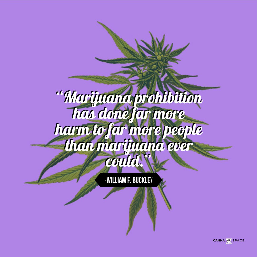 thecannaspace's tweet photo. word, Wednesday. #marijuana #medical #recreational #legalizeit #normalizeit #liftthestigma #cannabis #cannabisculture #cannabiscommunity #elevate #allthewayup #highvibes #vibehigh #highlife #gethigh #stayhigh #weed #maryjane #kush #weedlife #staylifted #hightimes https://t.co/JXQcXq4RZJ
