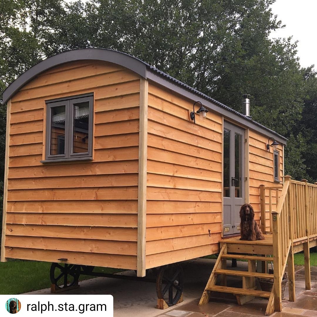 Did we mention that our super cute huts are dog friendly? 👌

Book here | theploughinn-hathersage.co.uk/Accommodation

#dogswelcome #hathersage #peakdistrict #accommodation