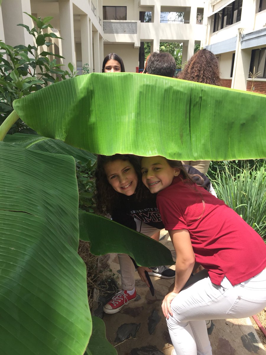 shegrows2's tweet image. Students learning about tropical plants! #carolmorgan