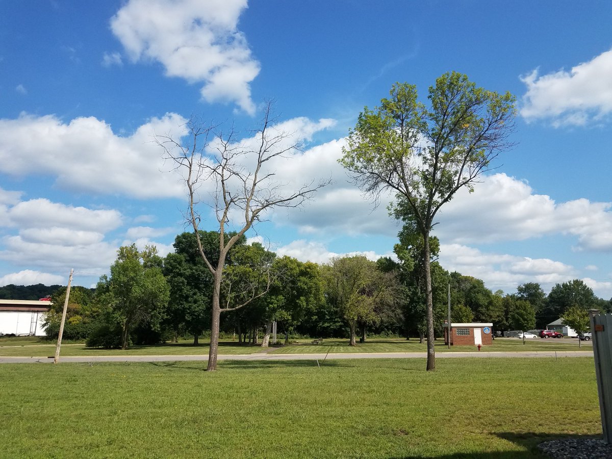 <a href="/FINfoodMN/">Friends In Need</a> in Need is looking for a Landscaping Company or Tree Service to cut down two ash trees at our food shelf in St. Paul Park. All donations are tax deductible, so we can give you a receipt if you donate the service.  Thanks for spreading the word!