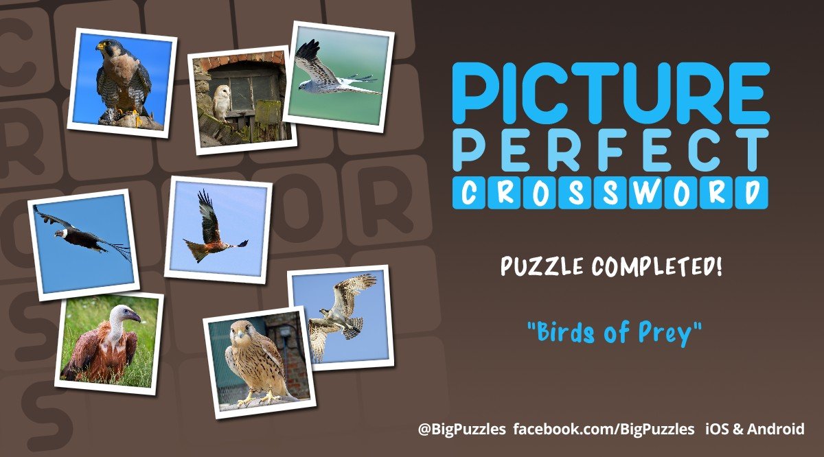 bethlem1's tweet photo. I completed a puzzle in #PicturePerfectCrossword. Play for free! https://t.co/Q6AsNx3jRe https://t.co/eDssauHrpa