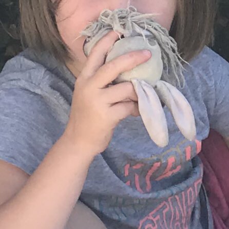 cecilechenot33's tweet photo. #doudouperdu #capferret le 28 aout, merci de votre aide pour rendre le sourire à ma fille!! https://t.co/W53y73nK74