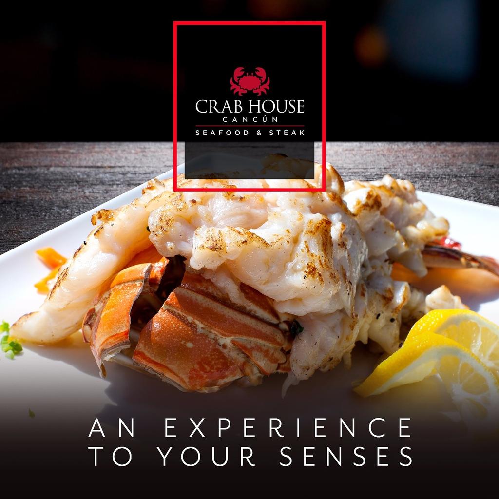CrabHouseMX's tweet photo. Come to Crab House,the best place in Cancun.
Enjoy an incredible experience with your family and friends, taste delicious food at the same time that you appreciate a beautiful view. 
We have kids club.
Book now 
#Crab #CrabHouse #cancun #seafood #food #sea #kidsclub #enjoy https://t.co/vfDPh7FW9A