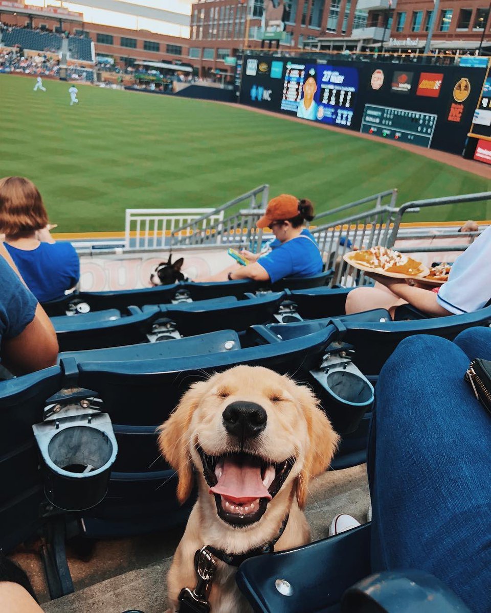 DurhamNC's tweet photo. That face when you remember a three-day weekend is two days away 😄

📸 by masontheretreiver_ on IG https://t.co/wHH4KH1Z7X