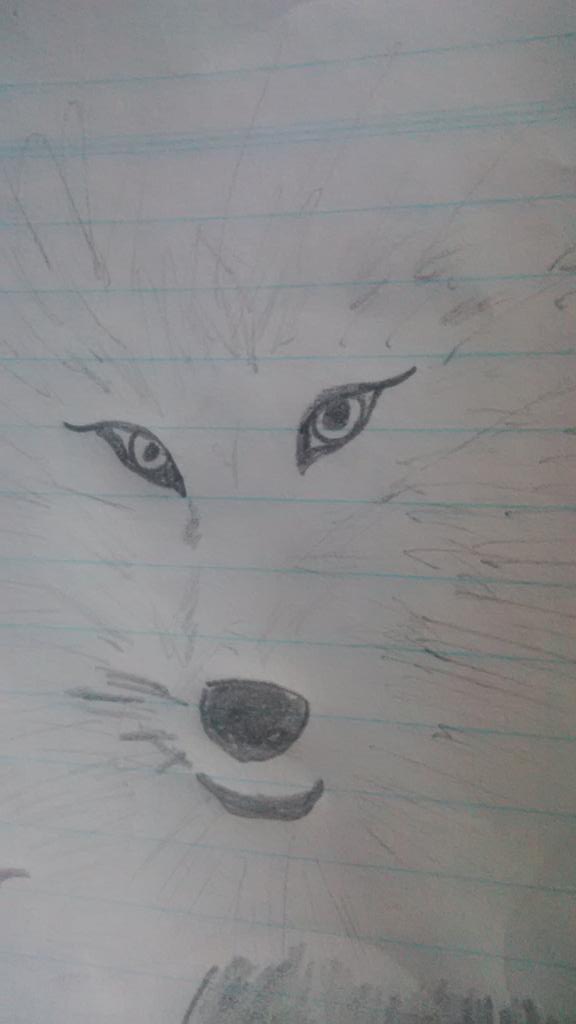 Kaymo_wolf's tweet image. I'd never thought that I know how to draw🐺 especially wolves 🐺
I love wolves 🐺😍
Maybe that's why 🐺