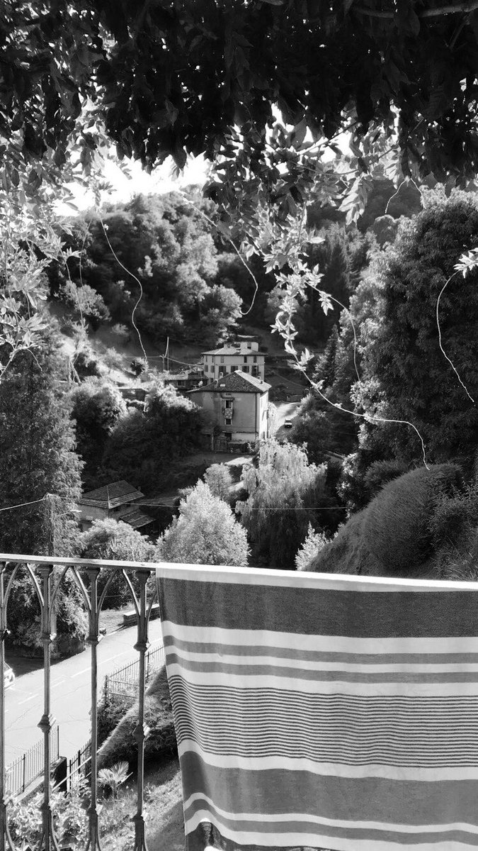 Victoria Creer (Trixstix) tweet media