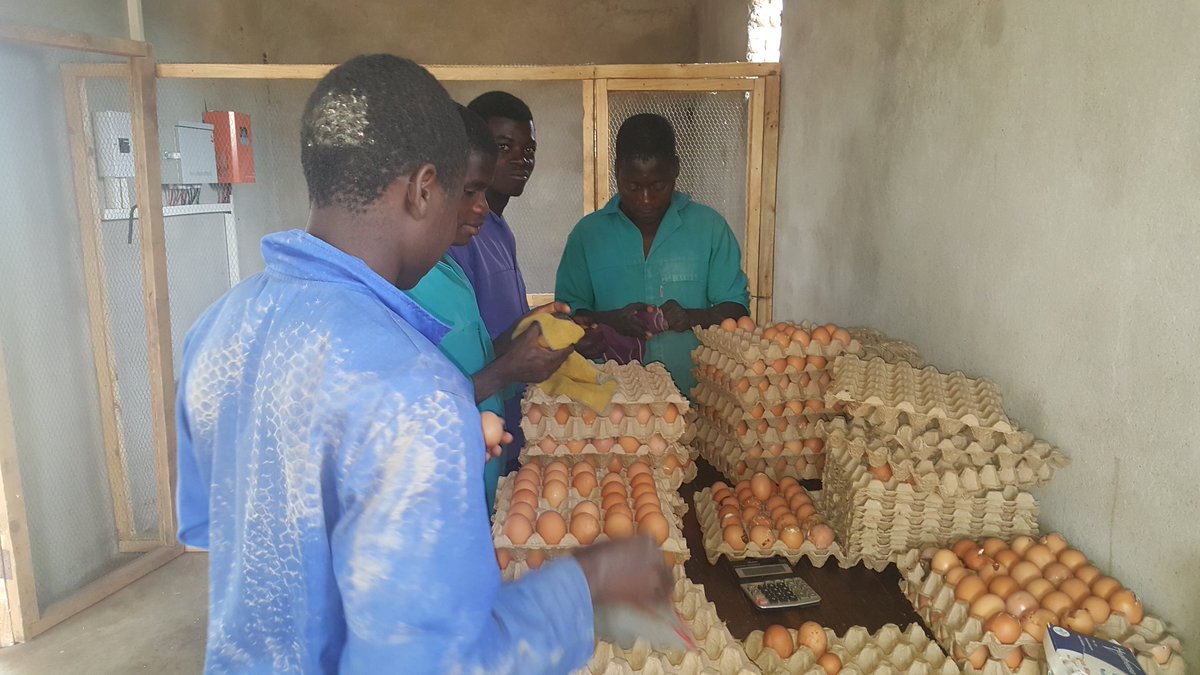rnzucule's tweet photo. Loving 2 visit local businesses that invest 2 #IncreaseQualityAccessDemand 4 #NutritiousFoods in Tete
#Avipro invests in vertical integration of egg production
This company is running for a place @ #NAIFCompetition in Nairobi
@GAINalliance @wfp_mozambique @DFID_Moz @jonnytench https://t.co/zidBfRFYap
