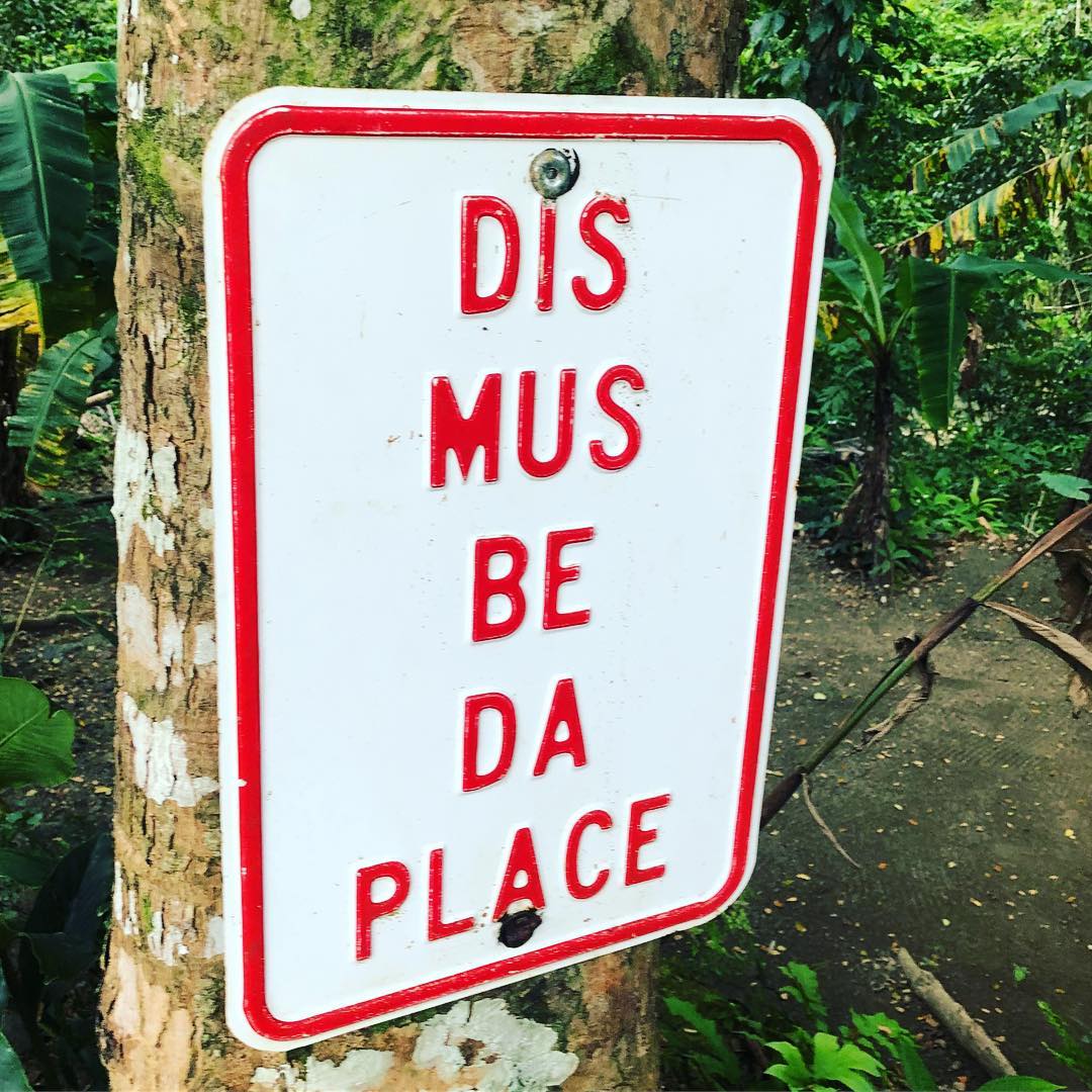 jamaicansdotcom's tweet photo. When was the last time you got lost? 😂✅ | 📷 IG: kstarninja | #TagAFriend #MayfieldFalls #Waterfall #Repost #Jamaica #VacationMode #SummerTime #IslandLife #Caribbean #WeJaminate https://t.co/5Pz9FCRS5T