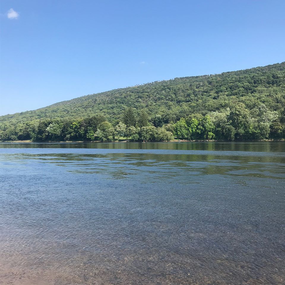 It's a hot one on the Delaware River today! ☀️