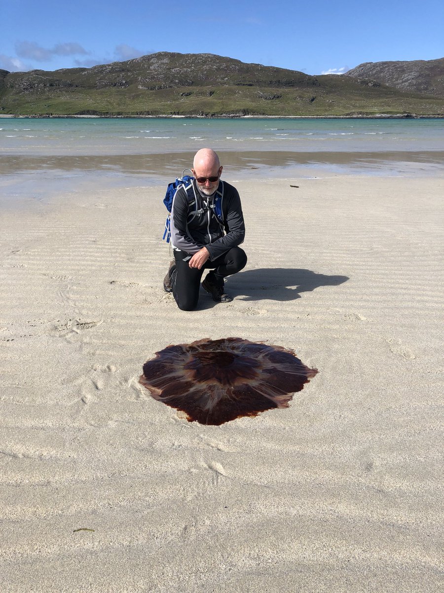 _AndreaM21_'s tweet image. The most beautiful beach I have ever been to 🤩 @VisitScotland #Scotland