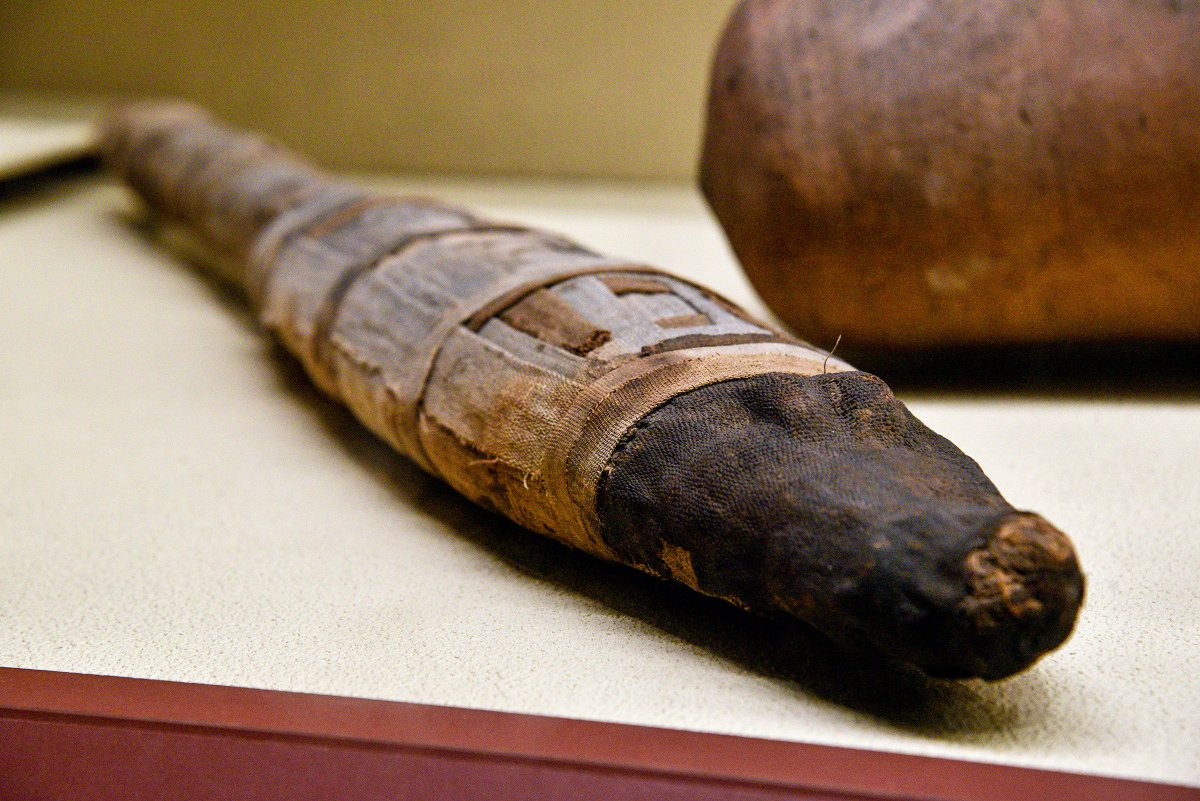 Penn Museum on Twitter: "Ancient Egyptians often made votive ...