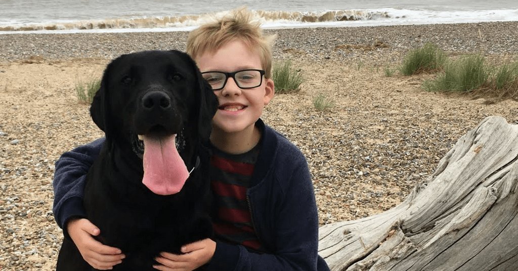 This boy started a campaign to make sure deaf children to have the same language opportunities as hearing children. ow.ly/7fPU101eiTe