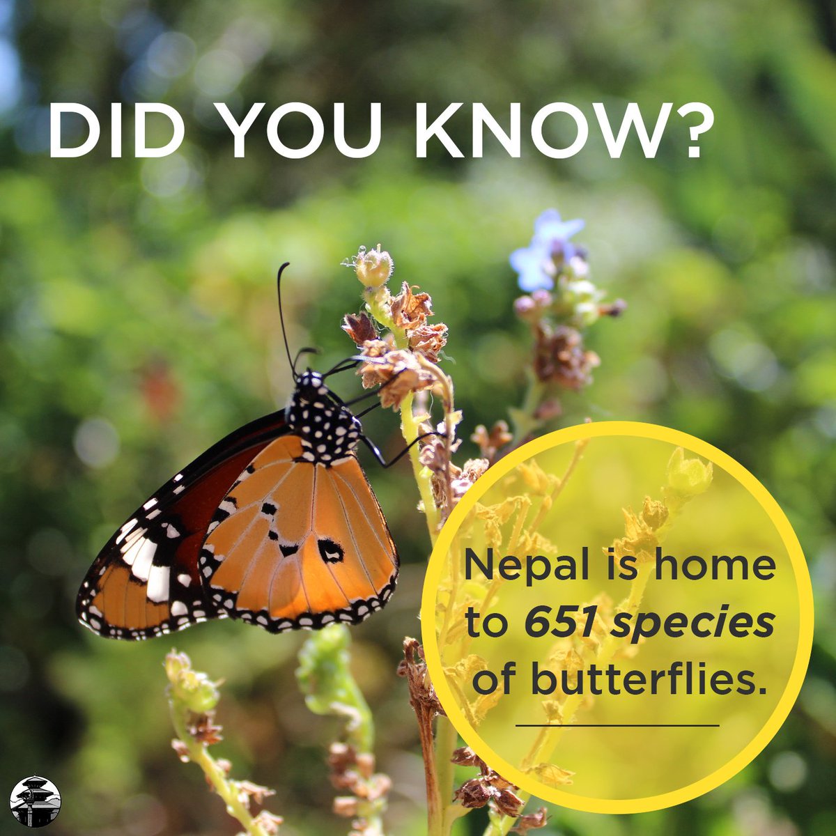 Scott_DeLisi's tweet photo. Nepal's beauty can be found in its people and their culture, much of which has been inspired by the natural beauty that surrounds them. 
#EngageNepal #nature https://t.co/6MGrvKXP1m