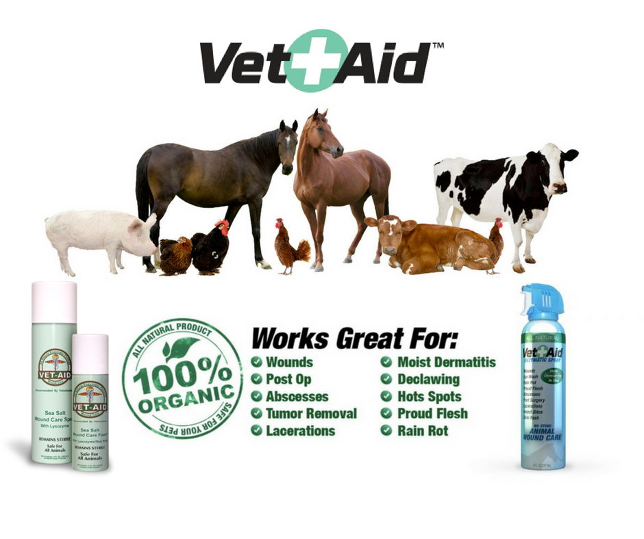 vetaidproducts's tweet photo. Large #animals are usually in environments that put them at a higher risk for developing irritating #skin conditions such as #dermatitis, #rainrot, #insectbites, abscesses, and #wounds that can hinder the #animals health. https://t.co/AOOJkMNRIy