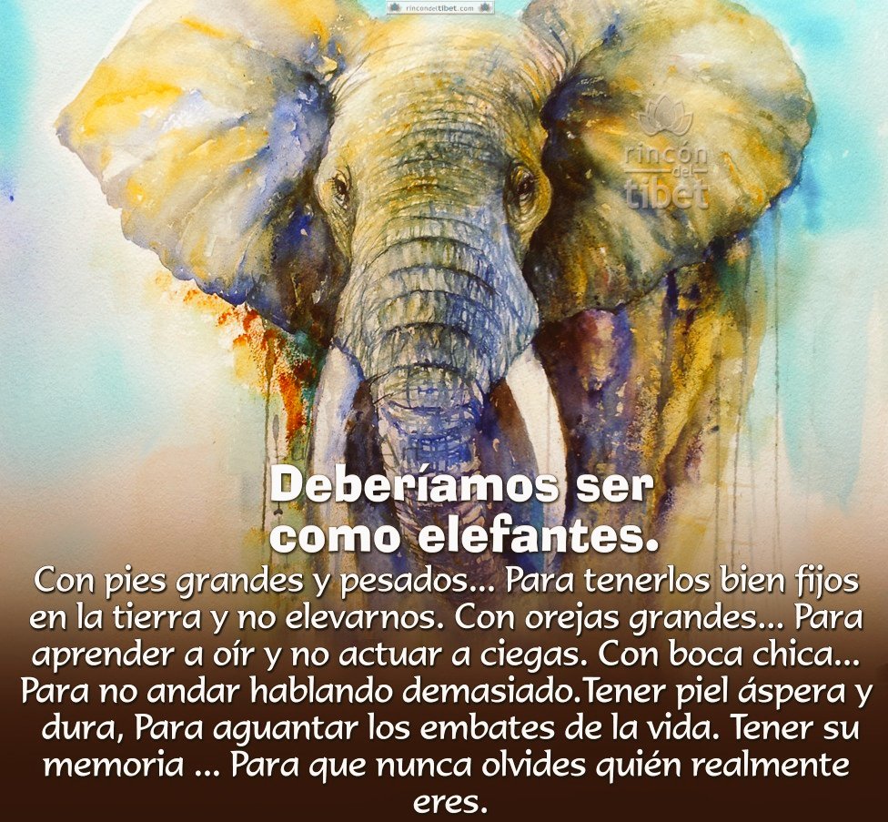 ENLACECONDIOS's tweet photo. EN UN DESPERTAR SE ENCUENTRA LA IDENTIDAD DE TU ESENCIA QUE A TRAVÉS DEL TIEMPO TU CORAZÓN SIEMPRE SERÁ GALARDONADO" https://t.co/sNIyxhBGgB