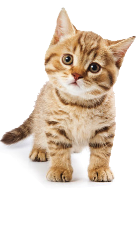 hootjoanf's tweet photo. Test this! https://t.co/TFL1Yoa5sf