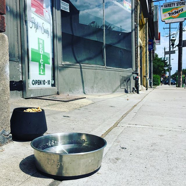 It’s a hot one out there today! Stay highdrated and make sure you come visit us today 😎Bring your friends 🐶!#highsocietytoronto #highsociety #skyhigh6 #weedmakeseverythingbetter 
#putagramonit #heatwarning #highdrate ift.tt/2PKISO1