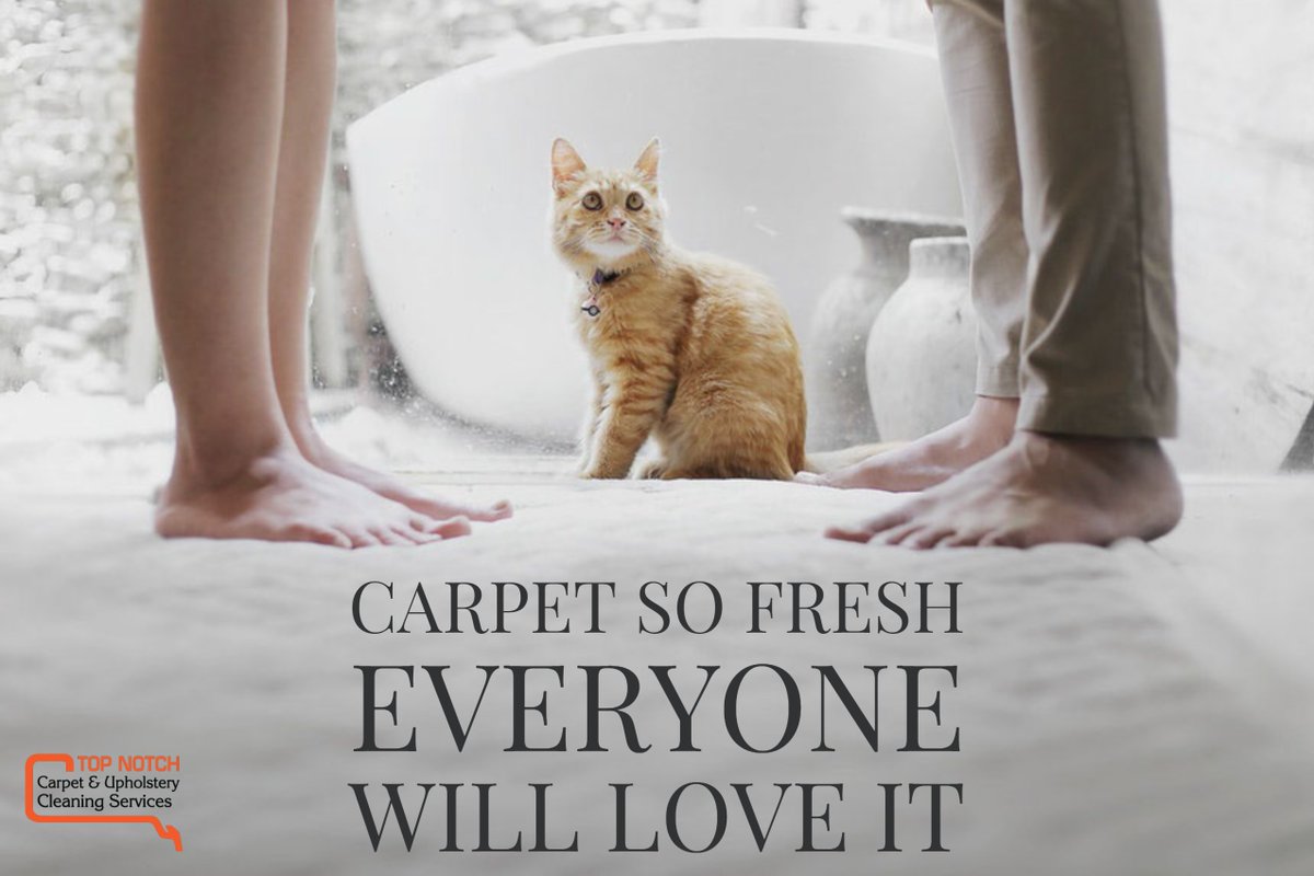 Top Notch Carpet & Upholstery Cleaning Services (TNCarpet) Twitter