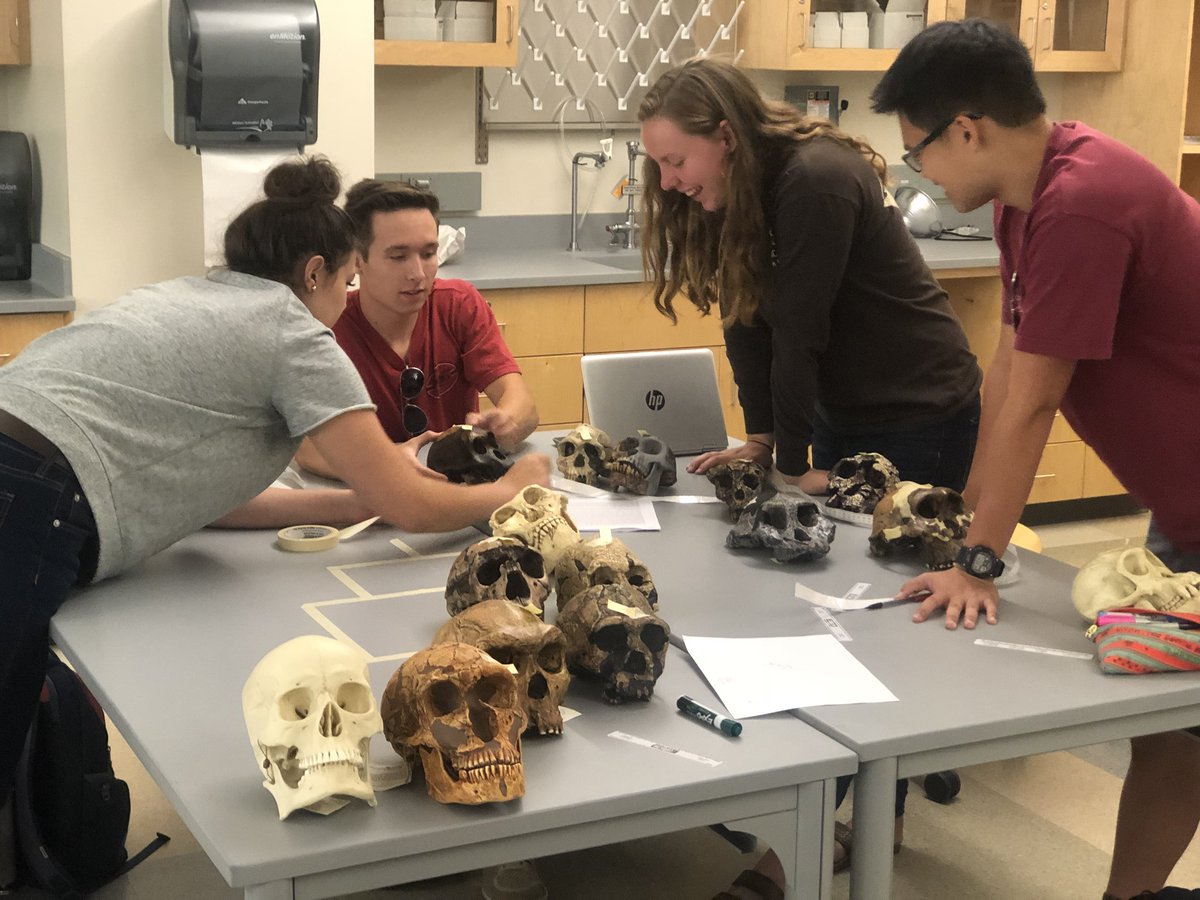BybeeLab's tweet photo. Late summer honors course: What does it mean to be human? @holtomjoshua @JaredXia @waffletoot @BYU @BYUHonorsProg https://t.co/zCh4ZOFjM6