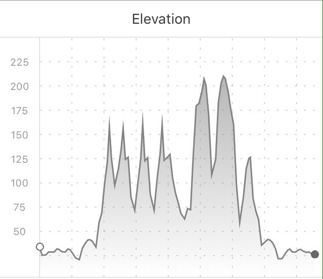 GandDMarathon's tweet photo. It's always leg day...

#MarathonTraining https://t.co/7UGpLc9jdG