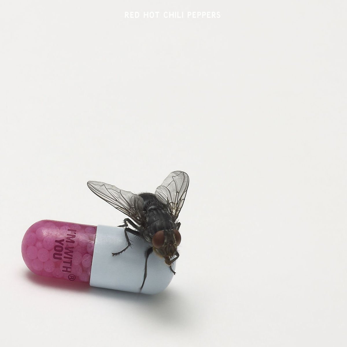 ChiliPeppers's tweet photo. On this day in 2011, I’m With You was released. Produced by Rick Rubin. Artwork by Damien Hirst.

What’s your favorite song on the record? Listen here: https://t.co/xQvLJNRYnJ

#RHCP https://t.co/Tu3zzAEY8N