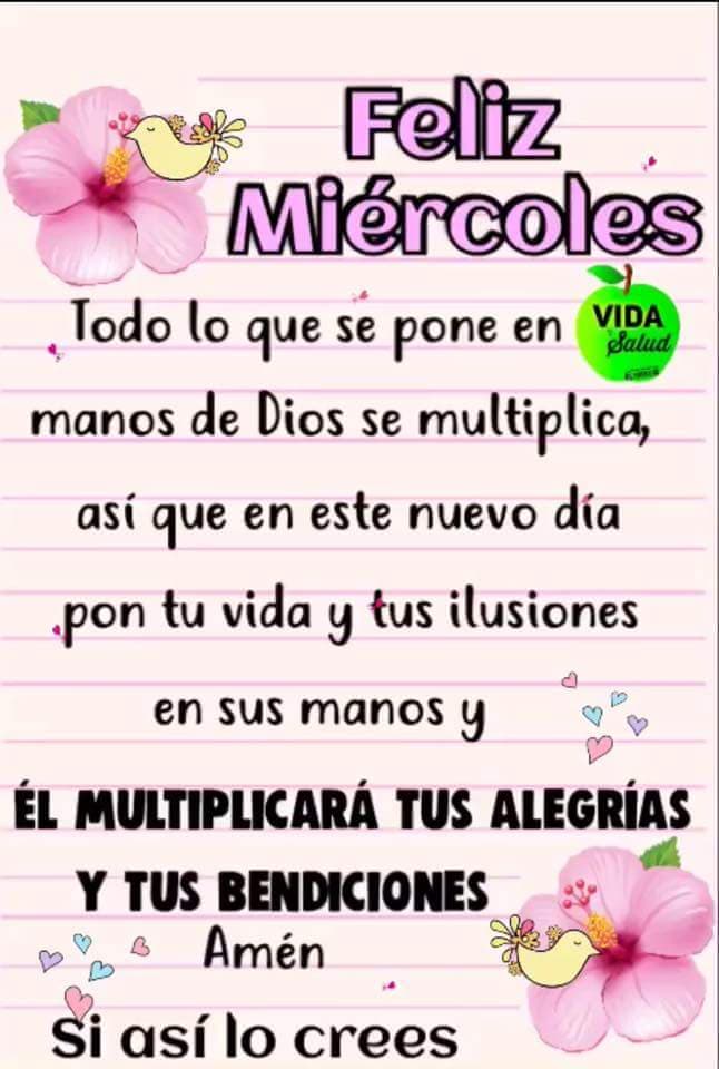 rosalesroch's tweet photo. @mhonividente https://t.co/VXajL2AT4J