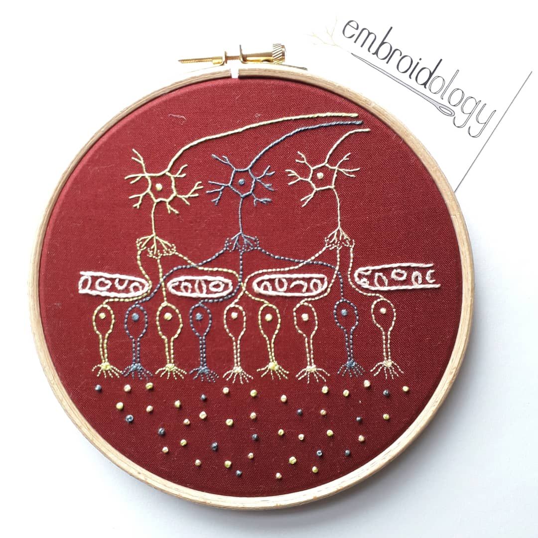 embroidery hoop with red cotton and olfactory bulb diagram embroidered on in bright colours